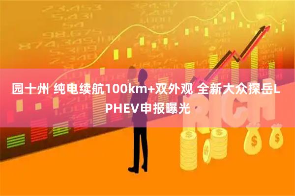 园十州 纯电续航100km+双外观 全新大众探岳L PHEV申报曝光