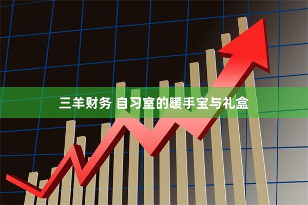 三羊财务 自习室的暖手宝与礼盒