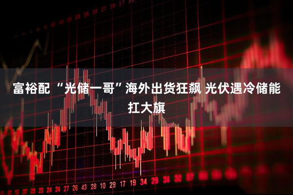 富裕配 “光储一哥”海外出货狂飙 光伏遇冷储能扛大旗